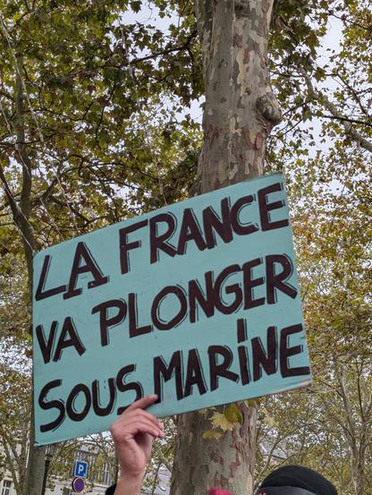 Pancarte : la France va plonger sous Marine